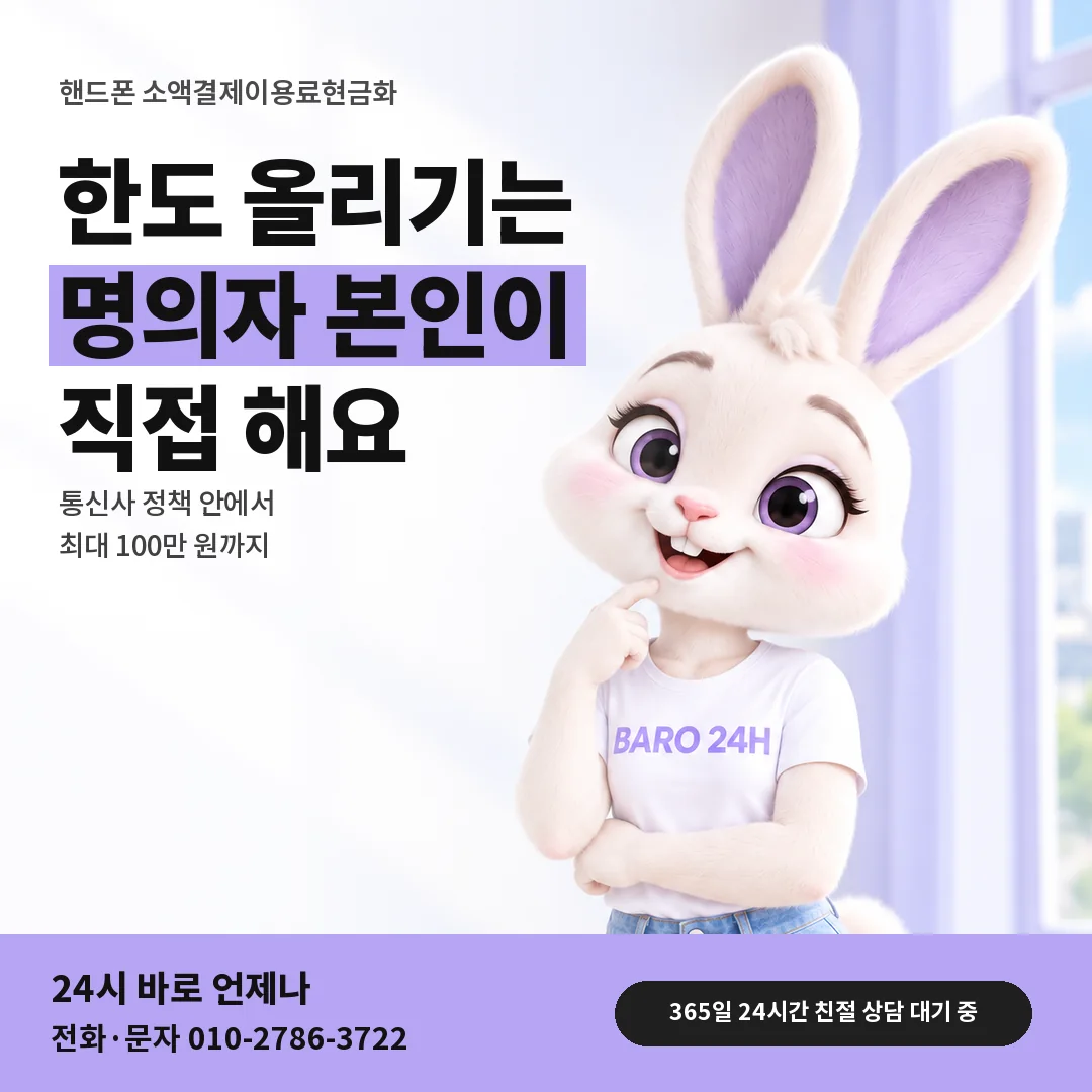 BARO 24H 티셔츠를 입은 3D 토끼 캐릭터 옆에 「핸드폰 한도 올리기」 제목을 얹은 안내 카드